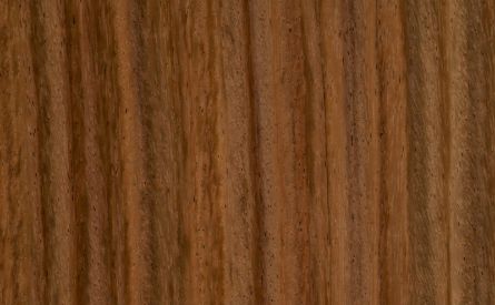 A rich-colored Parota (Narra family) live edge slab.