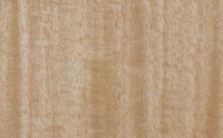 Wood grain and texture of Gmelina (Gmelina arborea)